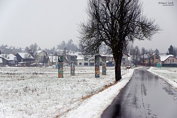 DSCF3646.jpg