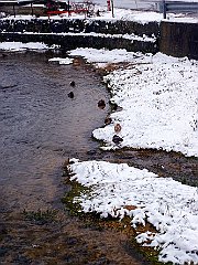 DSCF3647.jpg