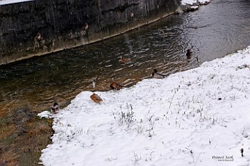 DSCF3648.jpg
