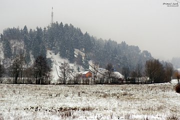 DSCF3652.jpg