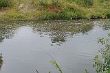 DSCF6530