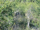 DSC01645