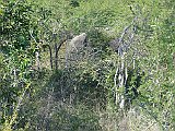 DSC01647
