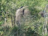 DSC01648