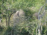 DSC01649