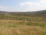 DSC01657