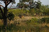 DSCF6487