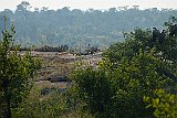 DSCF6496