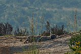 DSCF6497