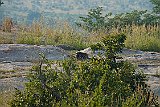 DSCF6504
