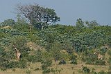 DSCF6507