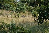 DSCF6509