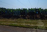 DSCF6511