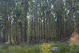 DSCF6512