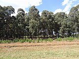 DSC01610