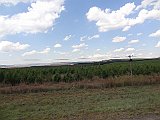 DSC01611