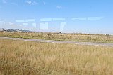DSCF6293