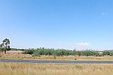 DSCF6299