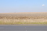 DSCF6302