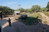 DSCF6325