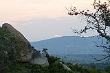 DSCF6338