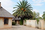 DSCF6289