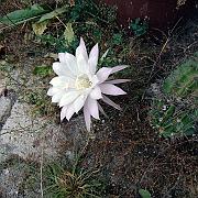 IMG 20190902 091423
