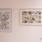 DSCF2629