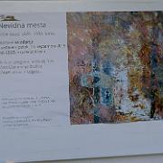 DSCF2642