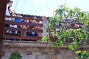 DSCF1614