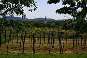 DSCF1638