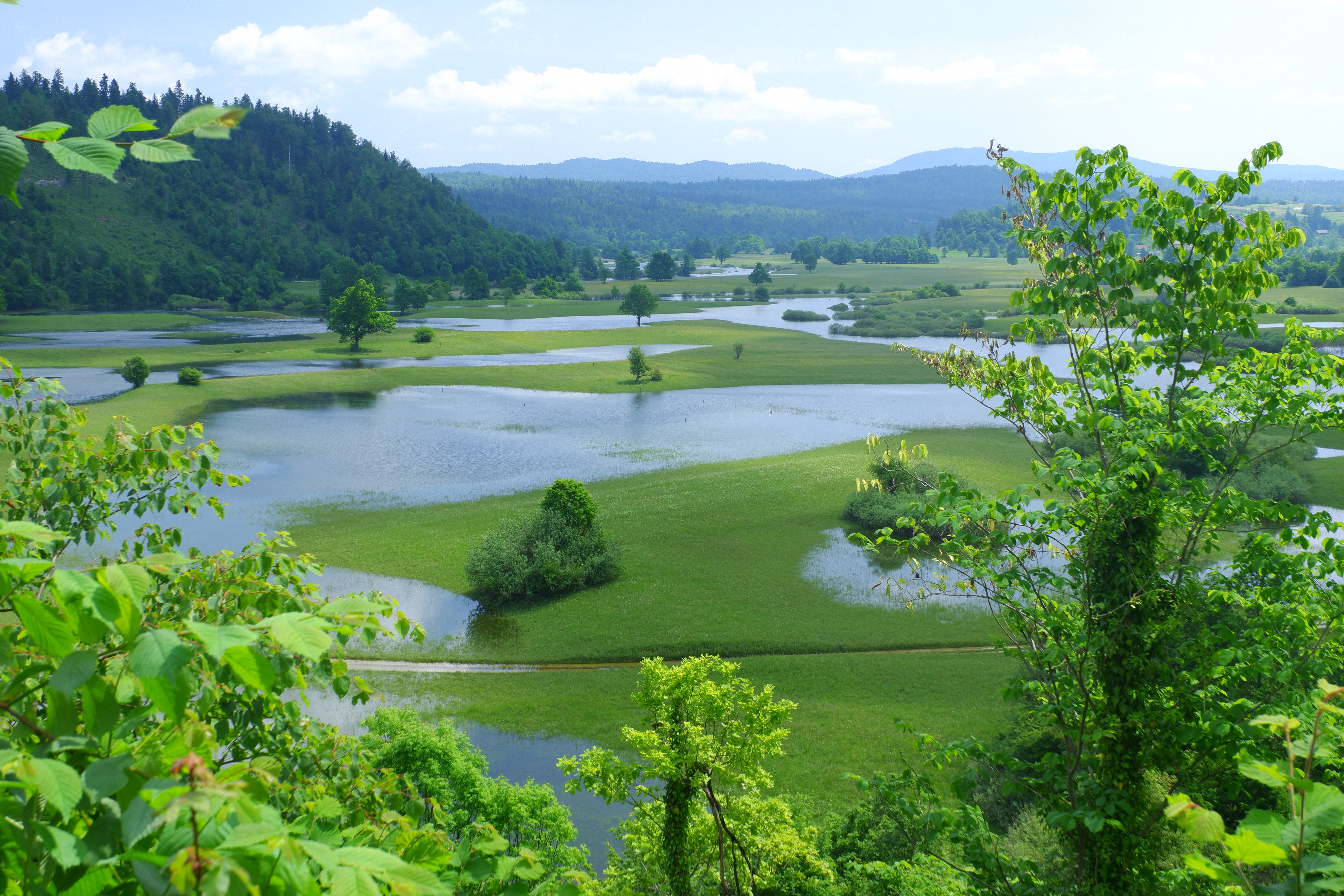 Planinsko polje